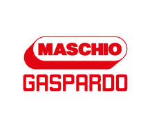 maschio